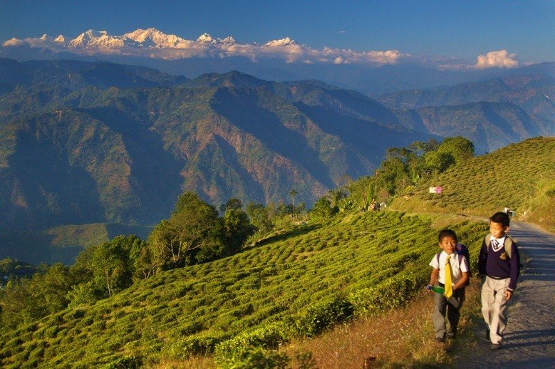 Darjeeling & Gangtok Tour Packages from Madurai by NTHolidays